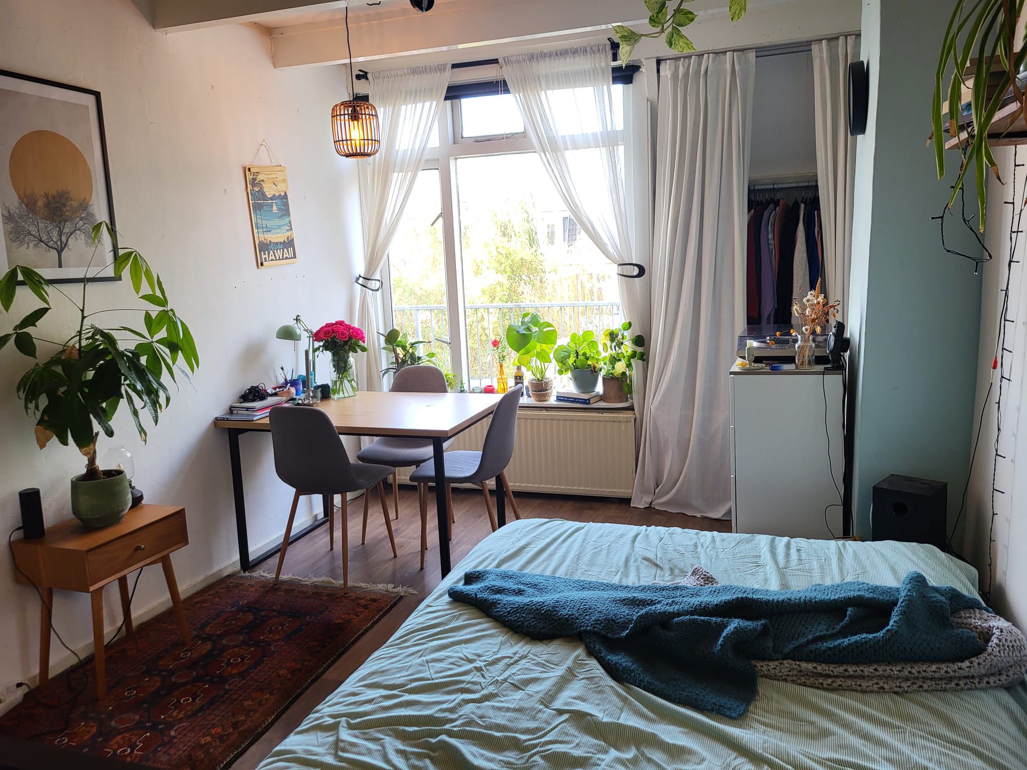 For rent: Groningen