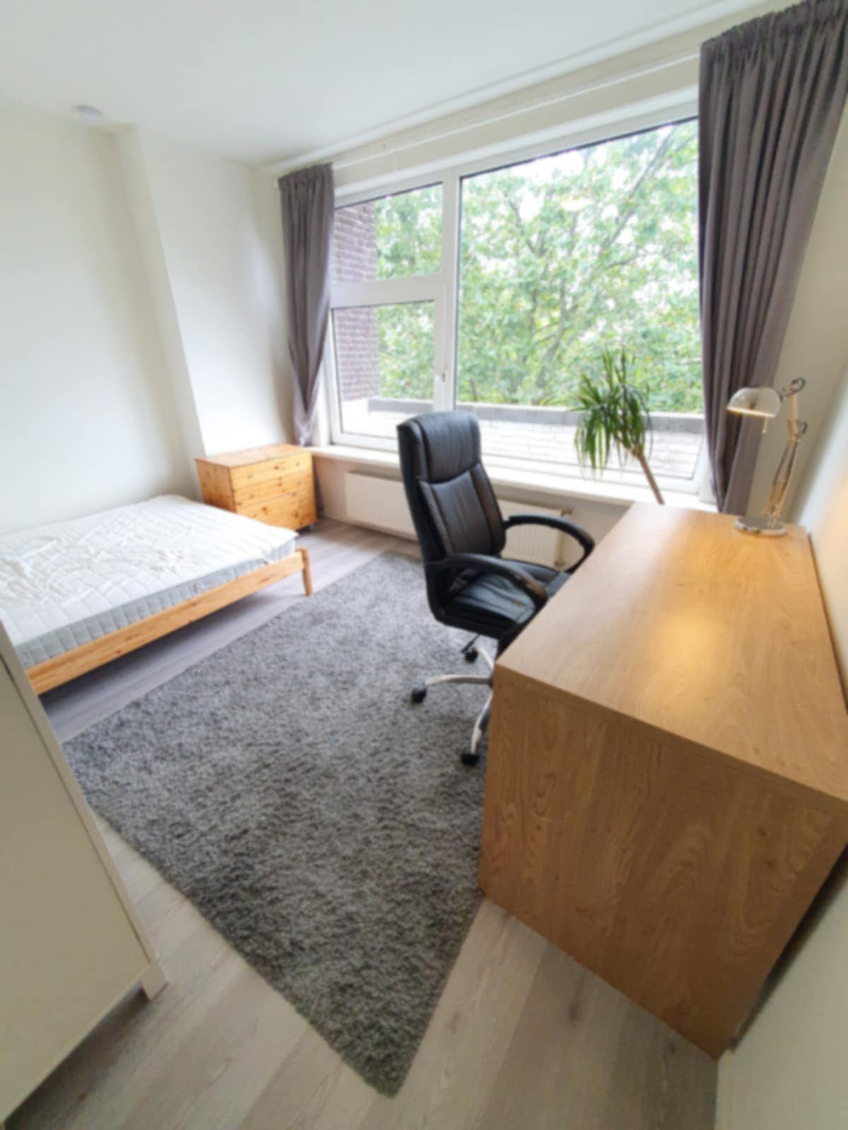 For rent: Rotterdam