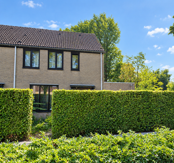 For rent: Veldhoven
