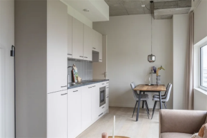 Te huur: Rotterdam / €1491 p.m. / 39m2