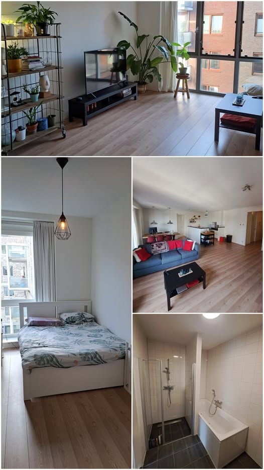 For rent: Amsterdam