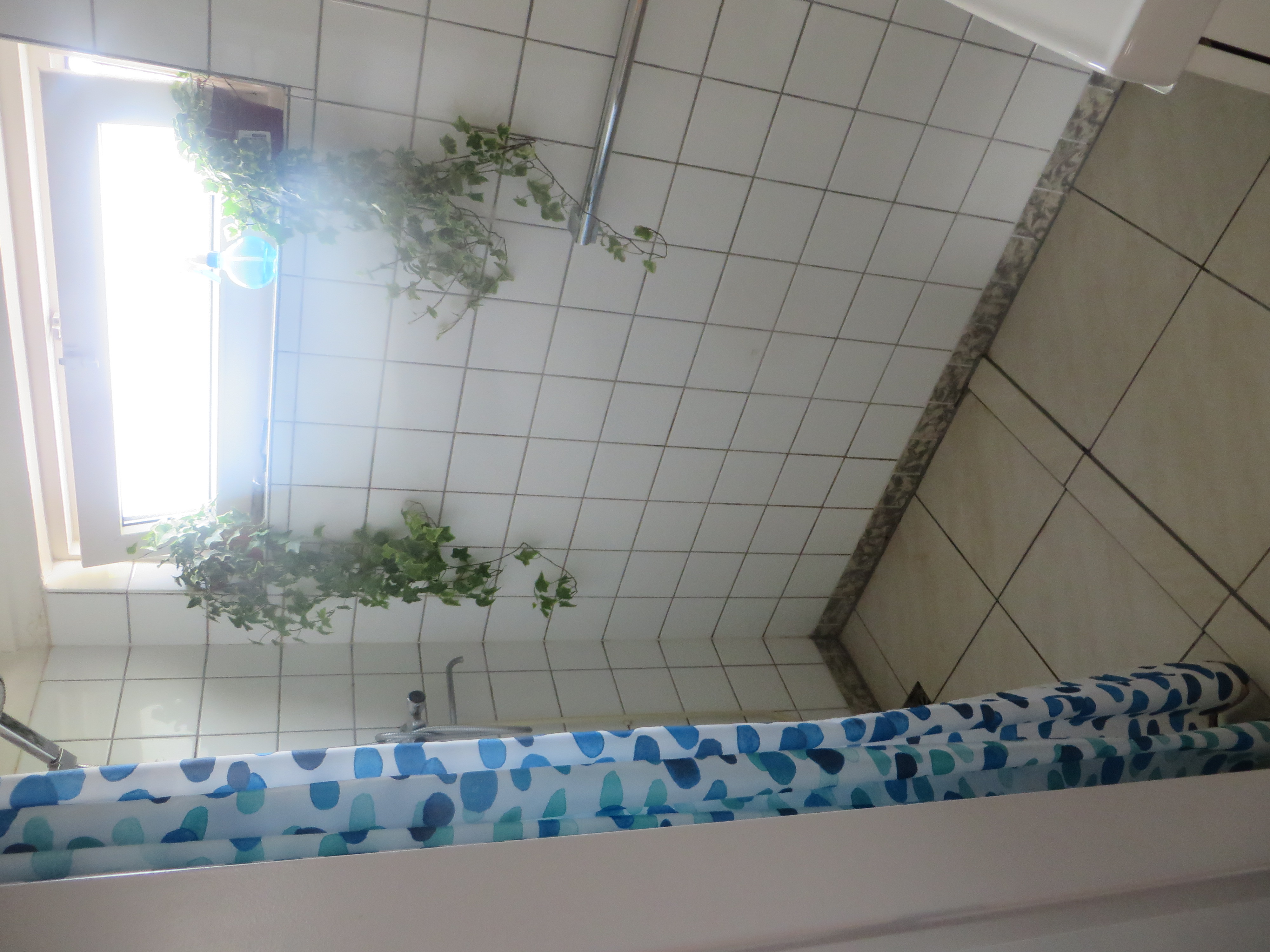For rent: Groningen