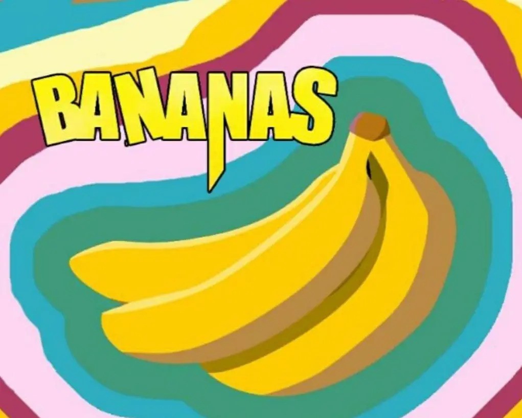 Te huur: Enschede / €330,00 p.m. / 10,00m2