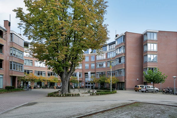 For rent: Eindhoven / €1150 p.m. / 70m2