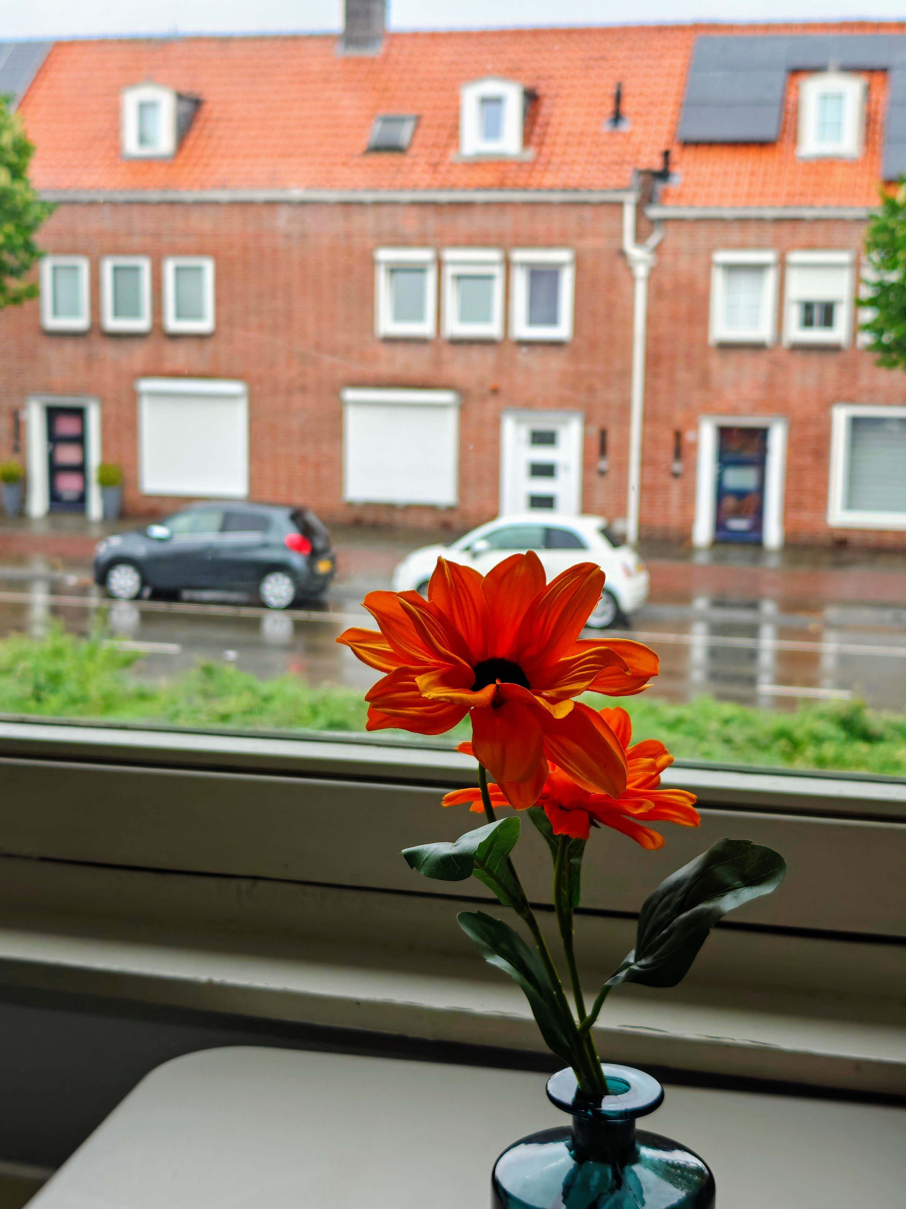 Te huur: Tilburg