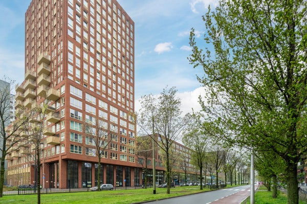 For rent: Delft