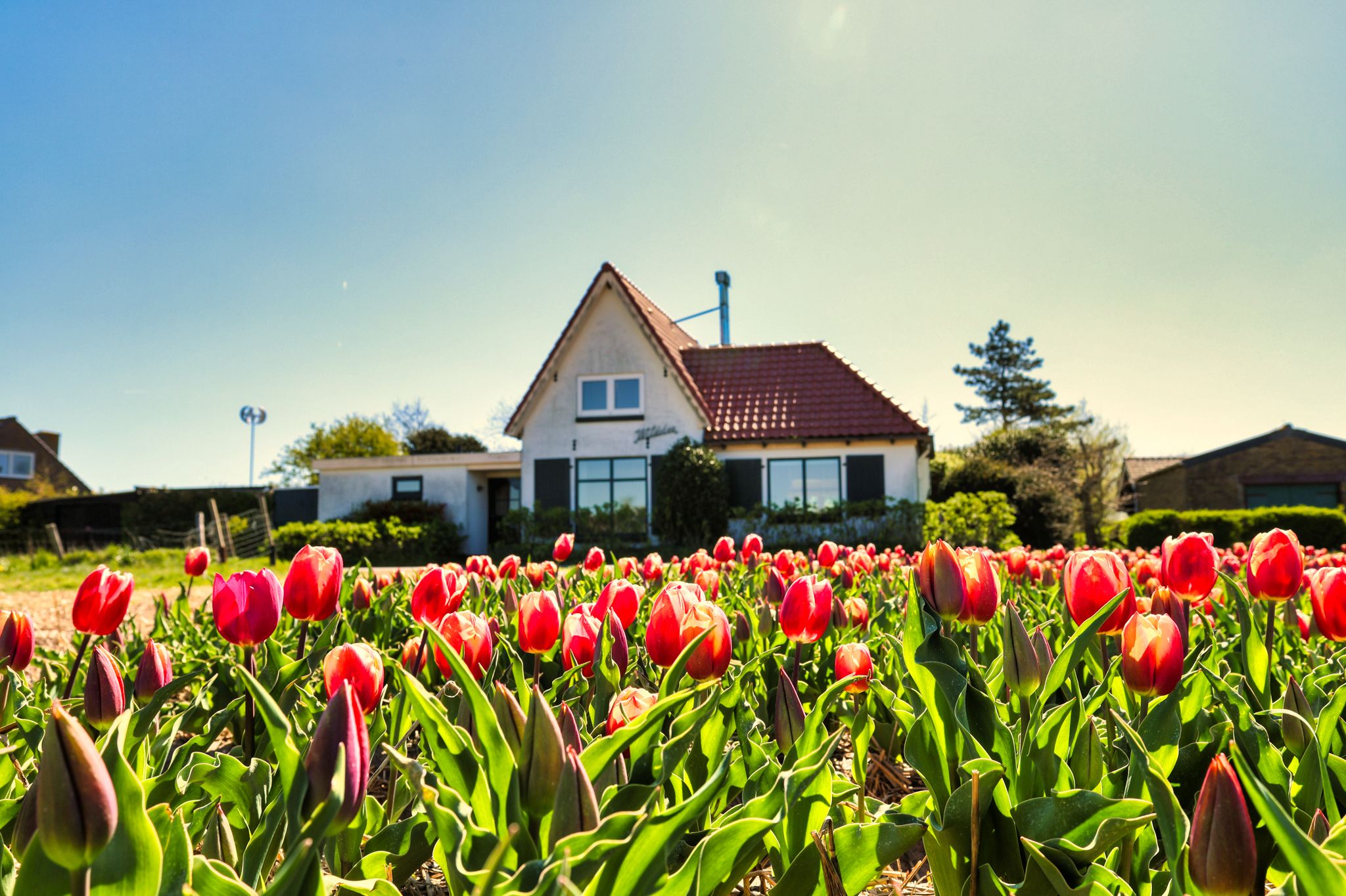 Te huur: Bergen / €2975,00 p.m. / 154,00m2