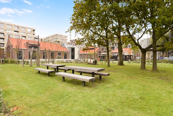 For rent: Amsterdam