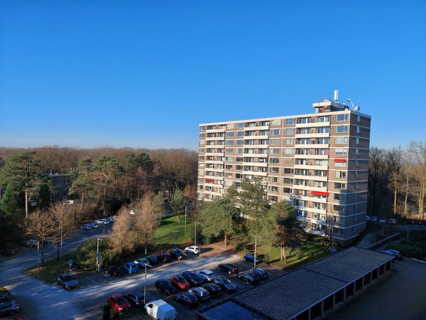 For rent: Arnhem / €1365.00 p.m. / 92.00m2