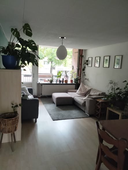 For rent: Amsterdam