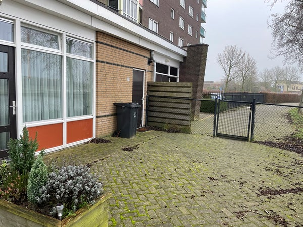 For rent: Groningen