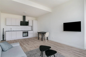 For rent: Rijswijk