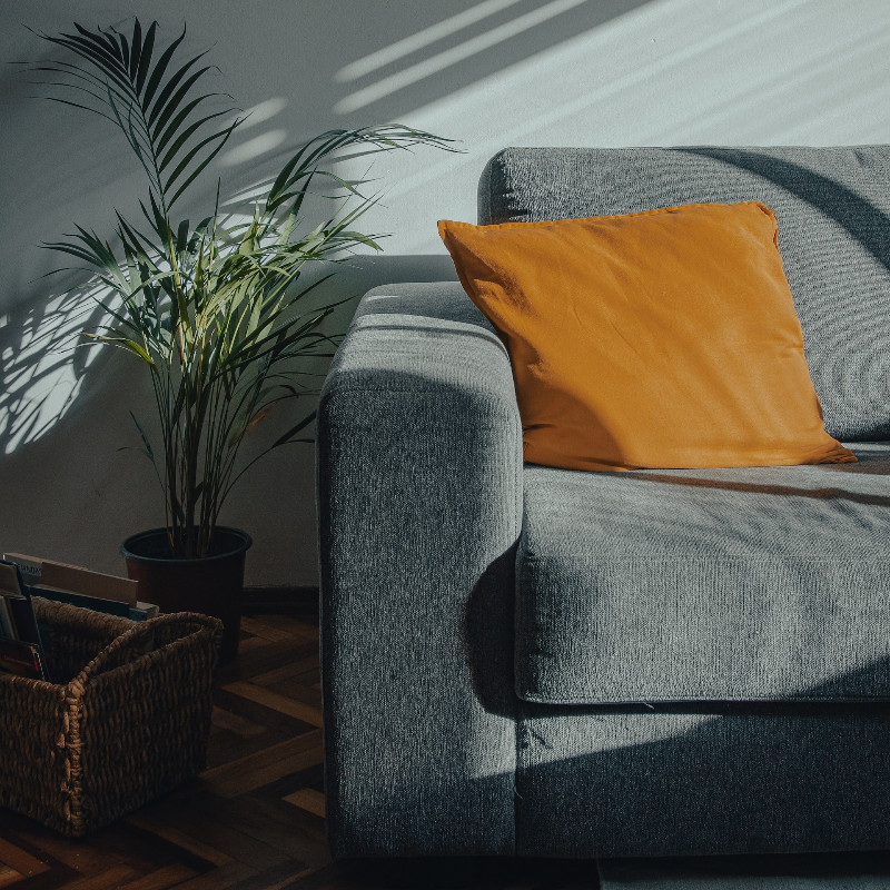 For rent: Amsterdam