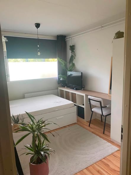 Te huur: Amsterdam / €665,00 p.m. / 14,00m2