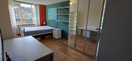 For rent: Almere / €850.00 p.m. / 18.00m2