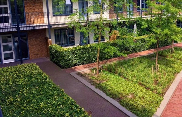 For rent: Amersfoort / €550 p.m. / 14m2