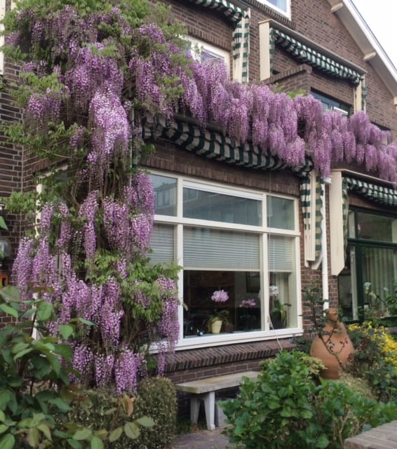 Te huur: Voorburg / €3200,00 p.m. / 123,00m2