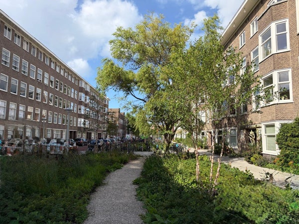 For rent:  Amsterdam  / €2250 p.m. / 62m2
