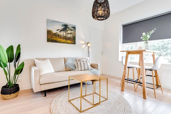 For rent: Groningen / €1600.00 p.m. / 36.00m2