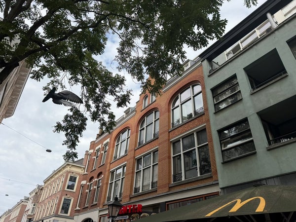 For rent: Rotterdam / €1111 p.m. / 54m2
