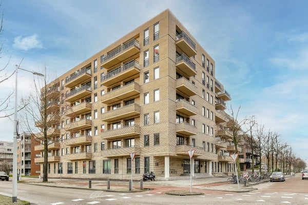 For rent: Amsterdam