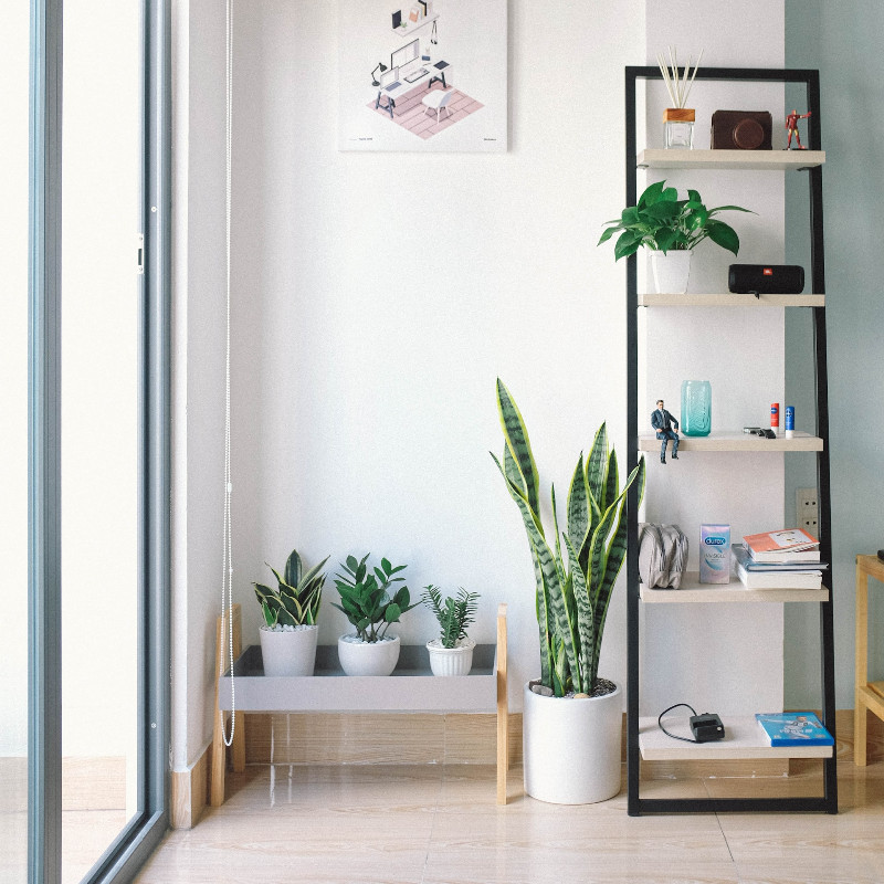 For rent: Den Haag / €850.00 p.m. / 138.00m2