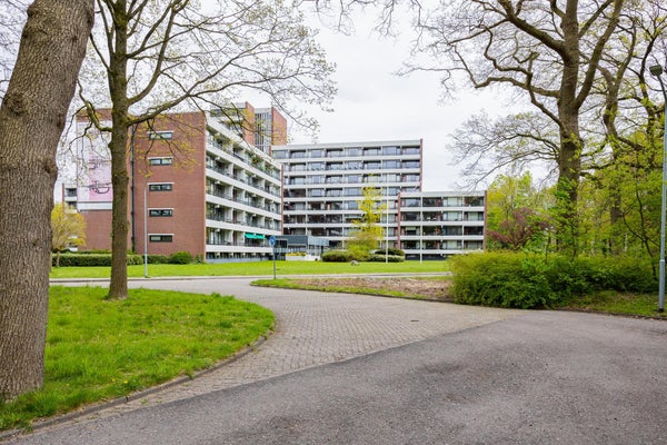 Te huur:  Emmen  / €714 p.m. / 46m2