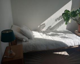 For rent: Amsterdam