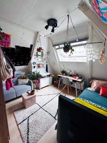 For rent: Groningen