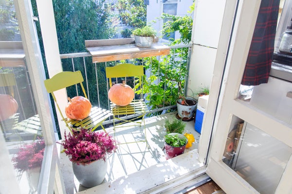 For rent: Amsterdam