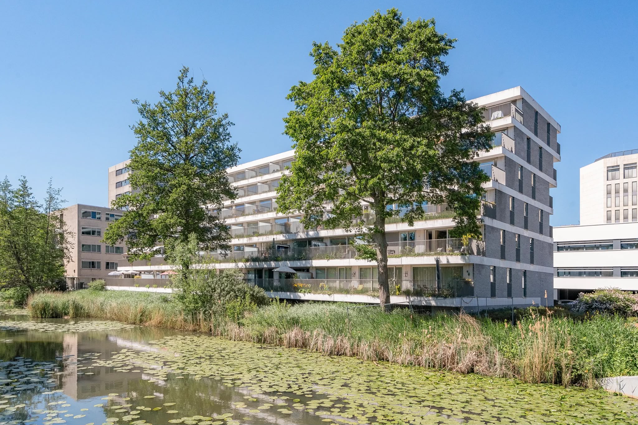 Te huur: Amsterdam