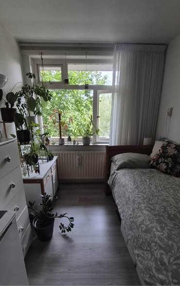 Te huur: Groningen / €590 p.m. / 11m2