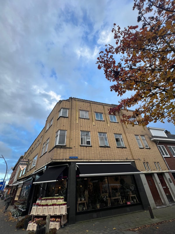 For rent: Zwolle