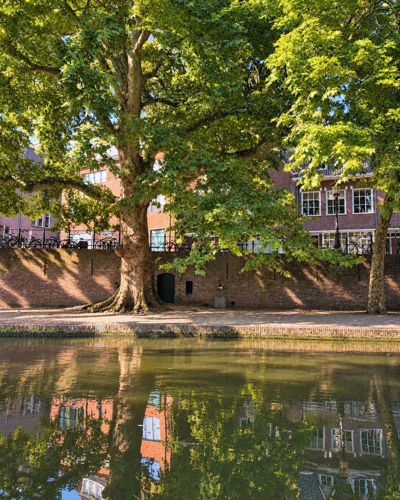Te huur: Utrecht / €2350 p.m. / 36m2