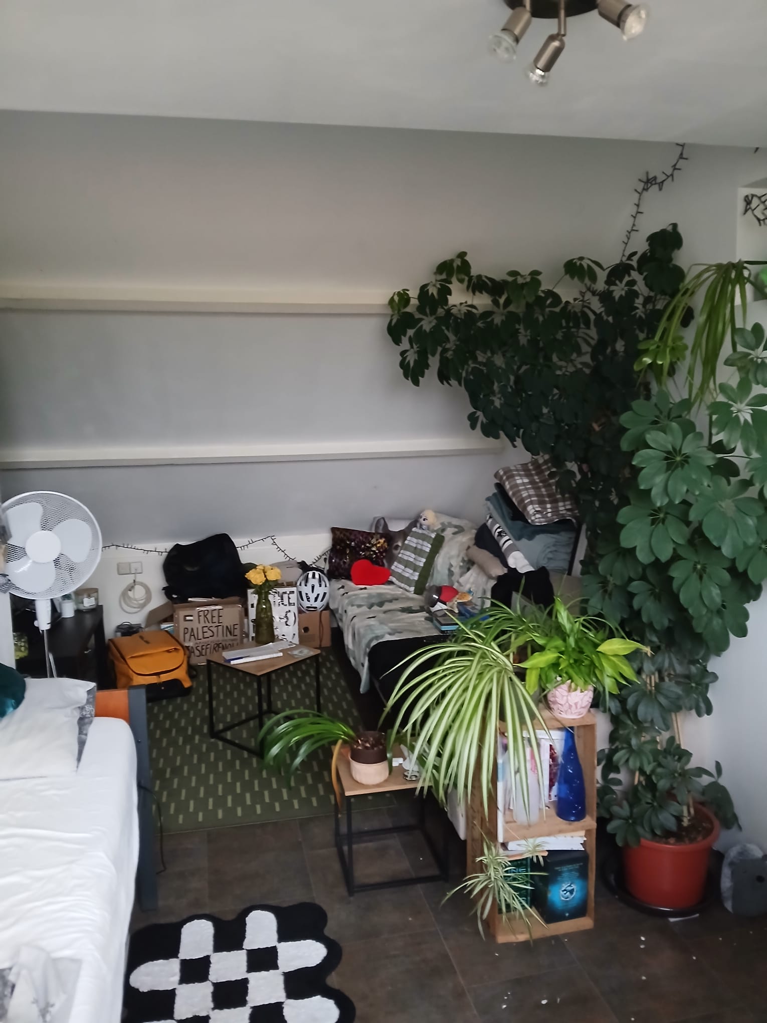 Te huur: Groenekan