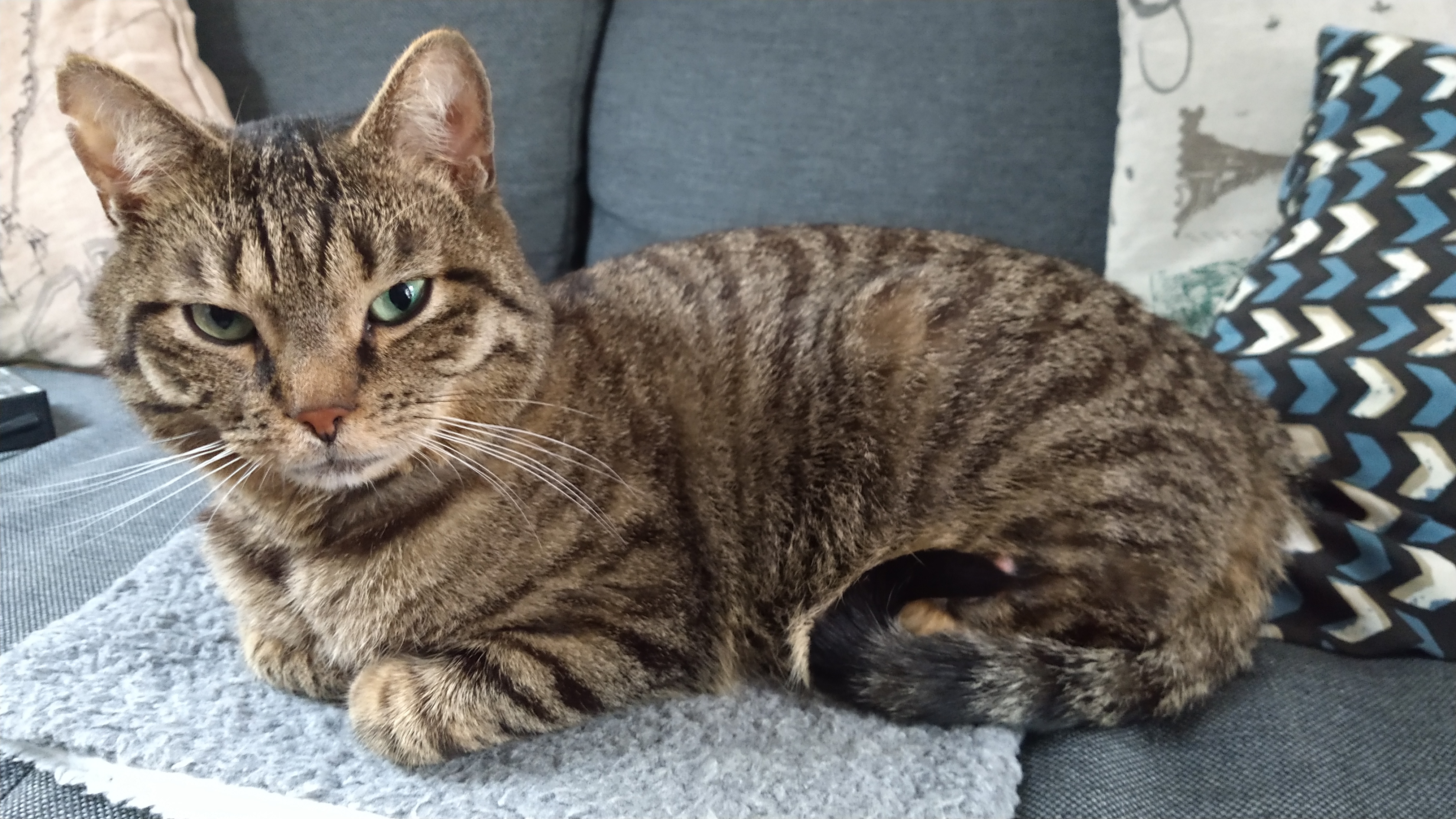 Te huur: Utrecht / €1000,00 p.m. / 40,00m2