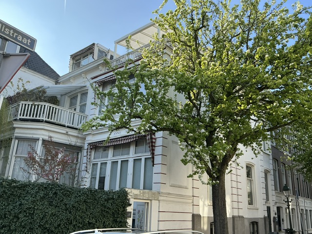 Te huur: Den Haag / €750,00 p.m. / 15,00m2