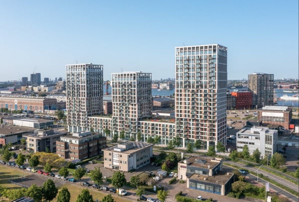 For rent: Amsterdam