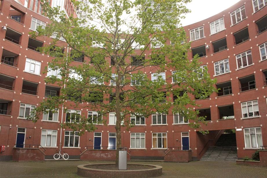Te huur: Den Haag