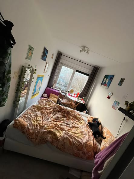 For rent: Amsterdam