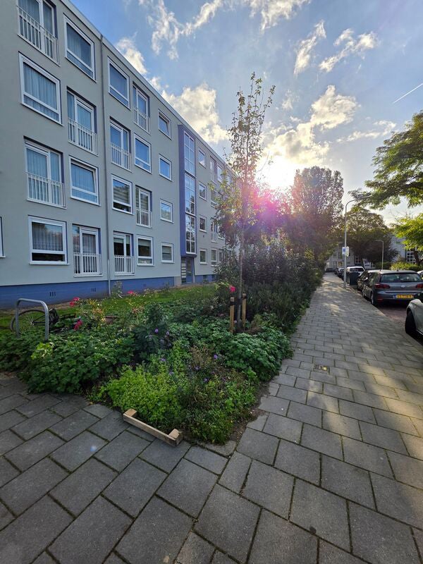 Te huur: Den Haag