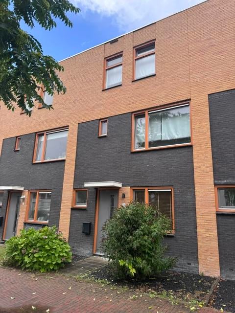 For rent: Assen