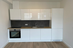 For rent: Haarlem / €941.00 p.m. / 47.00m2