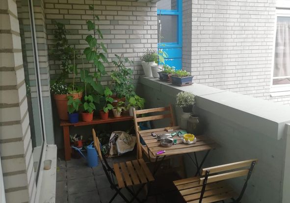 For rent: Amsterdam / €650.00 p.m. / 11.00m2