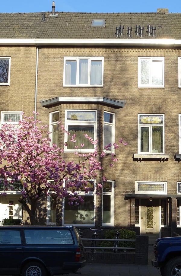 For rent: Maastricht