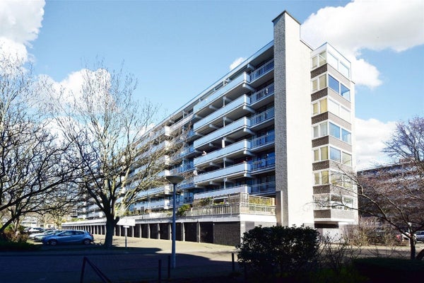 For rent: Den Haag