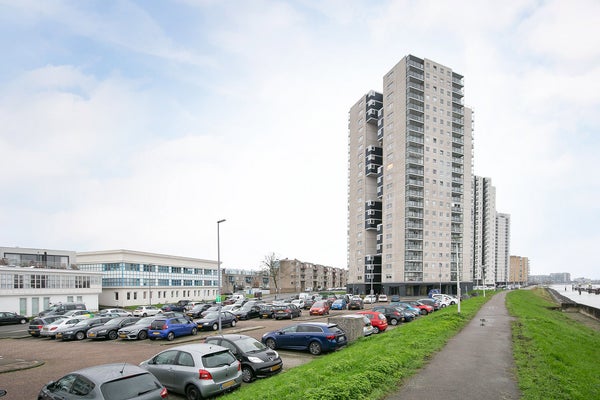 For rent: Rotterdam