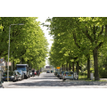 Te huur: Arnhem