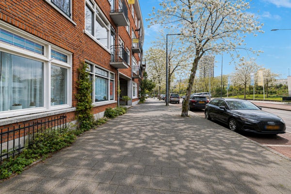 Te huur: Rotterdam