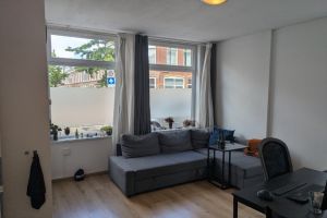 For rent: Haarlem